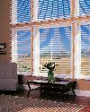 Hunter Douglas Alouette Window Shading