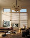 Hunter Douglas Alouette Window Shading