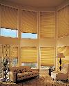 Hunter Douglas Duette Window Shading