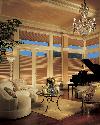 Hunter Douglas Duette Window Shades