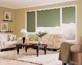 Hunter Douglas Designer Screen Shades