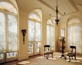 Hunter Douglas Duette Window Shades