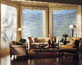 Hunter Douglas Silhouette Window Shades