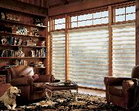 Pirouette Window Shadings in Lake Worth Florida home -- dog optional