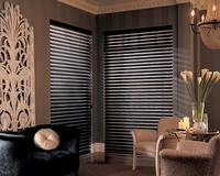 Dark-colored Hunter Douglas Silhouette Shades -- Sitting room -- Boca Raton Florida
