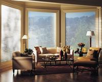 Hunter Douglas silhouettes Shades-- Rustic view through Loxahatchee Florida windows